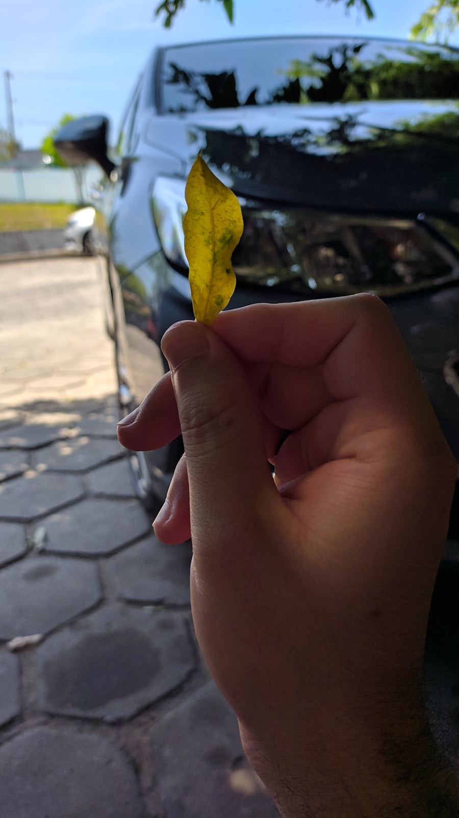 Photo New car buying advice